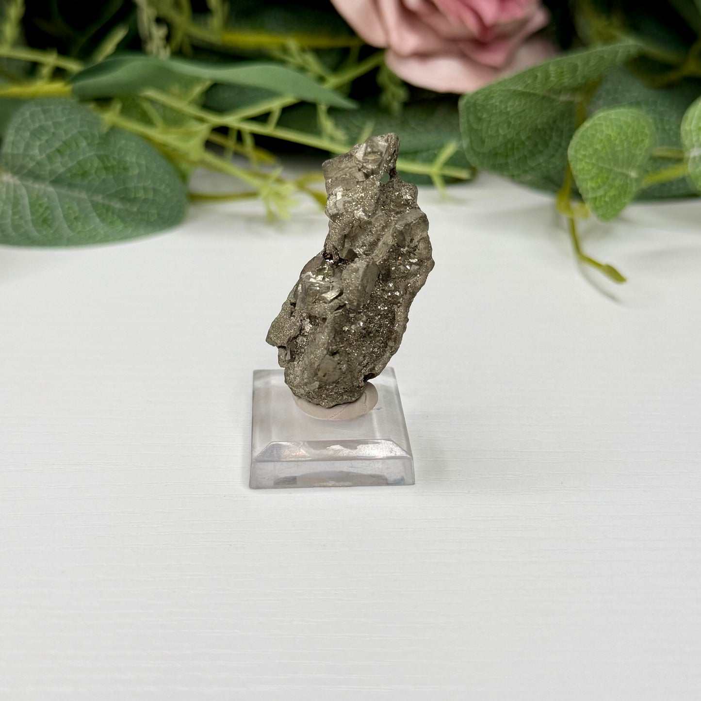 Pyritized Wood Specimen