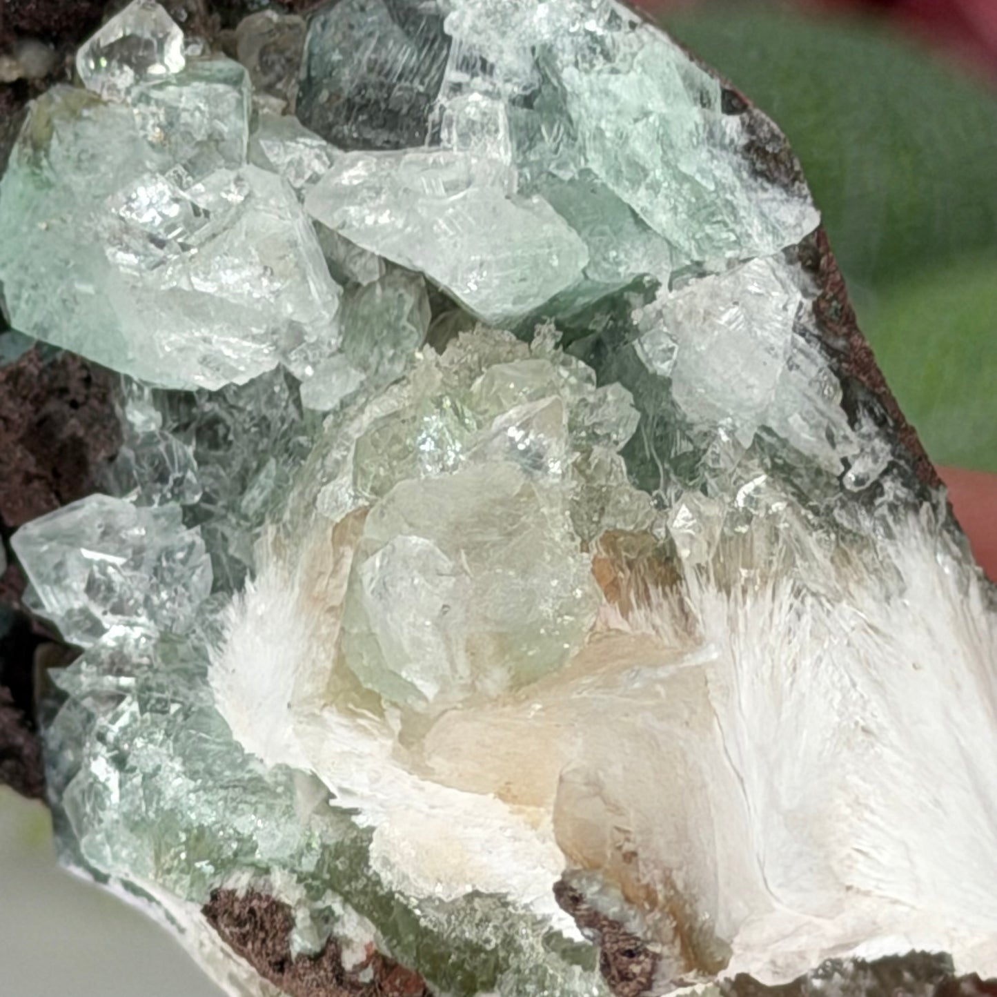 Green Apophyllite With Mordenite D