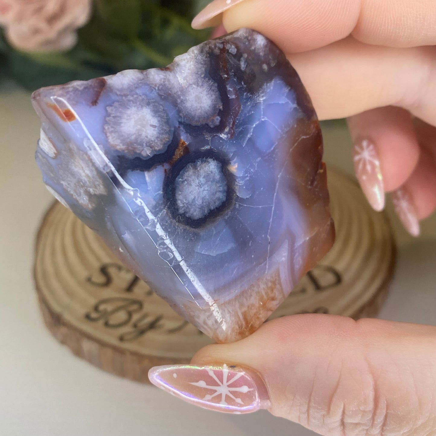 Blue Flower Agate Freeforms
