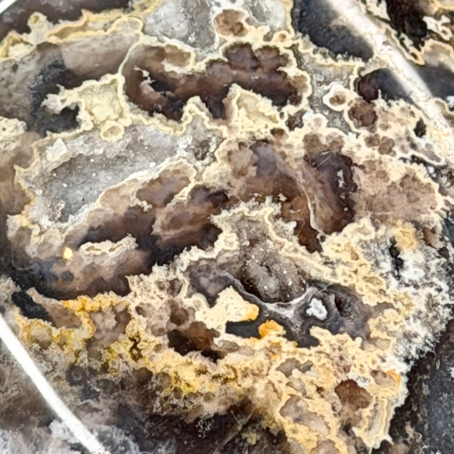 Blue Plume Agate Palmstones