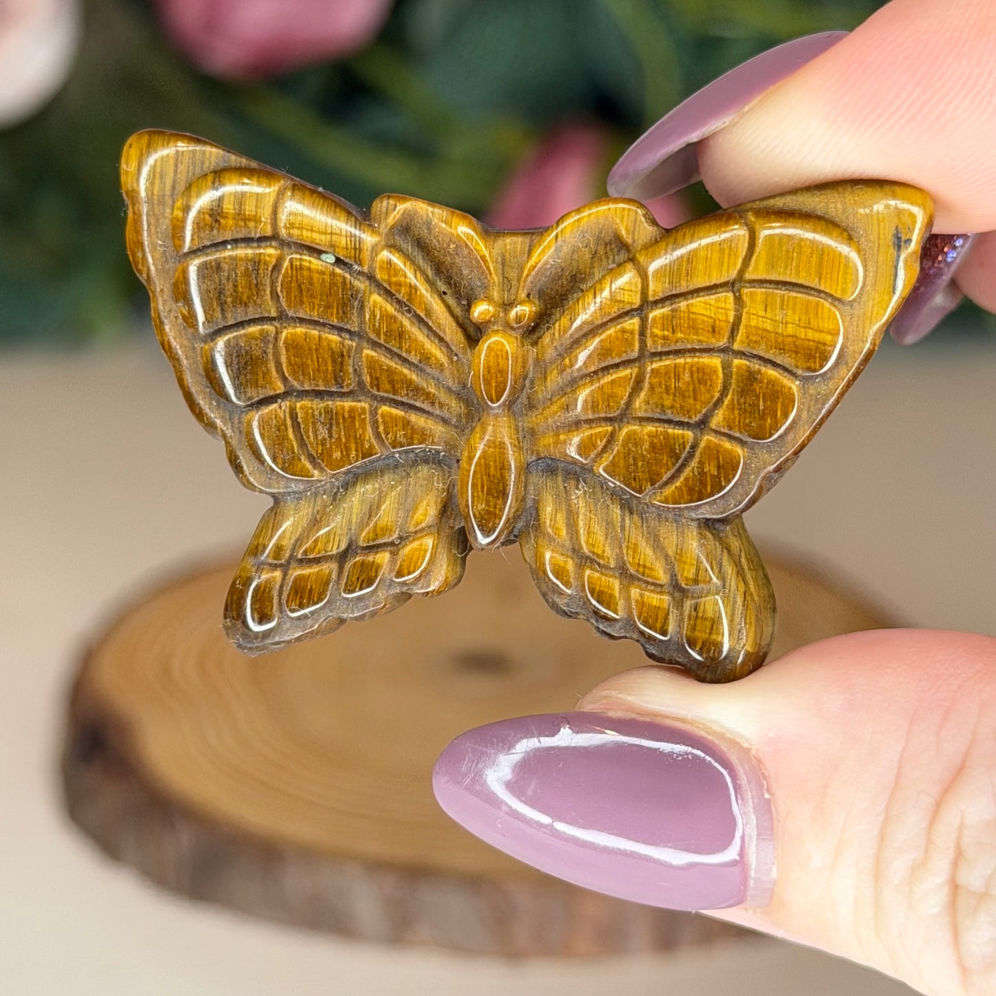 Tigers Eye Butterfly