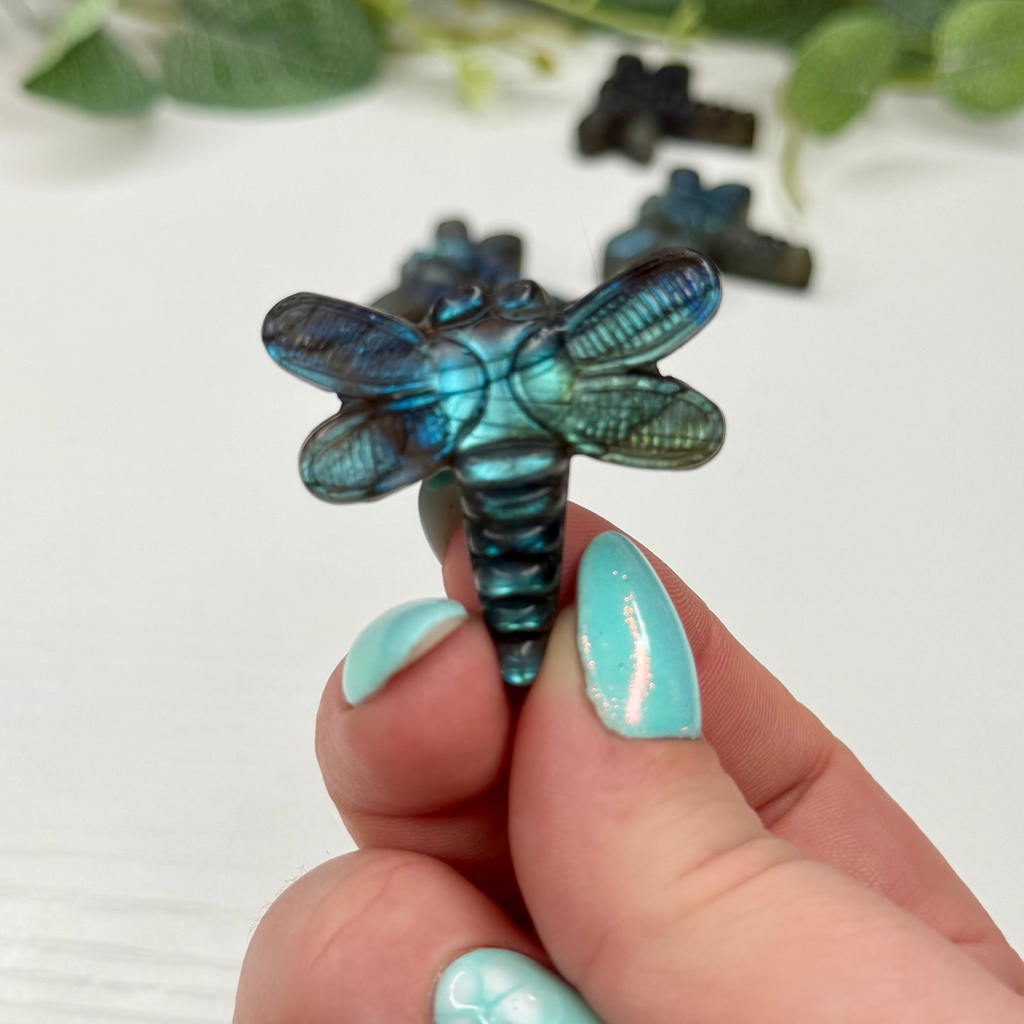 Labradorite Dragonflies