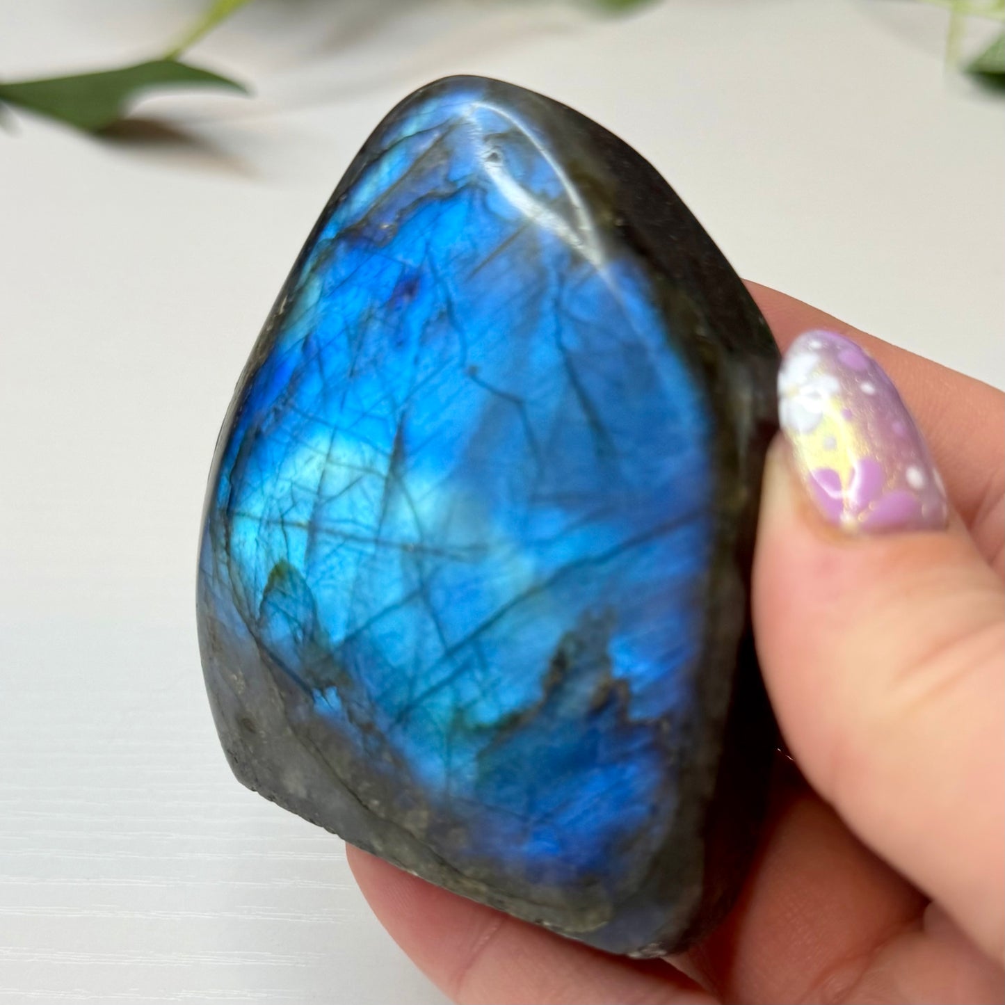 Labradorite Freeforms
