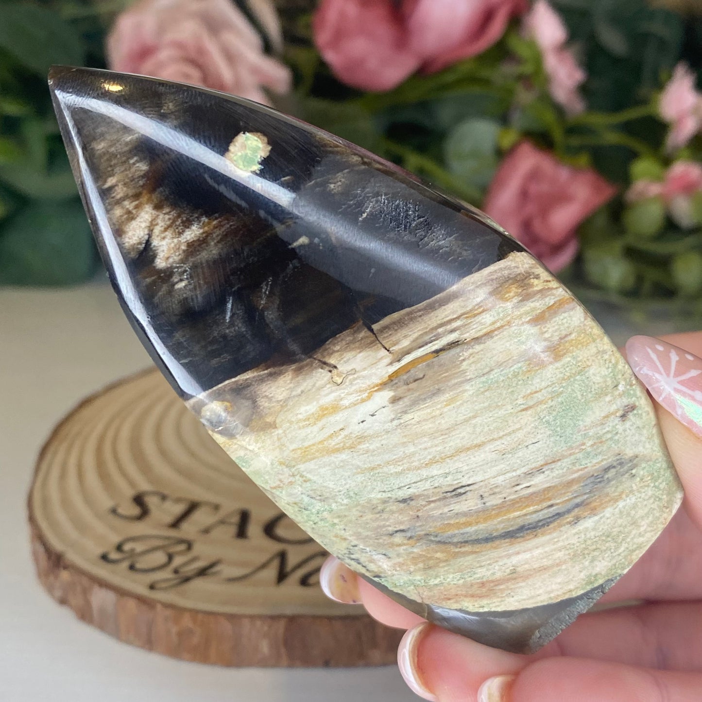 Petrified Wood Teardrops