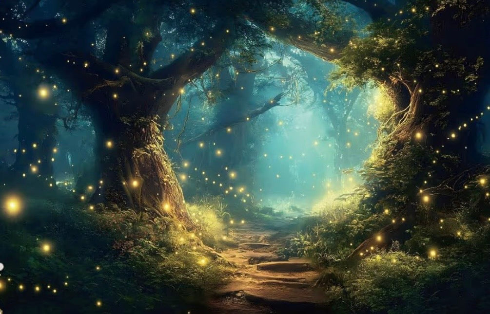 Enchanted Forest