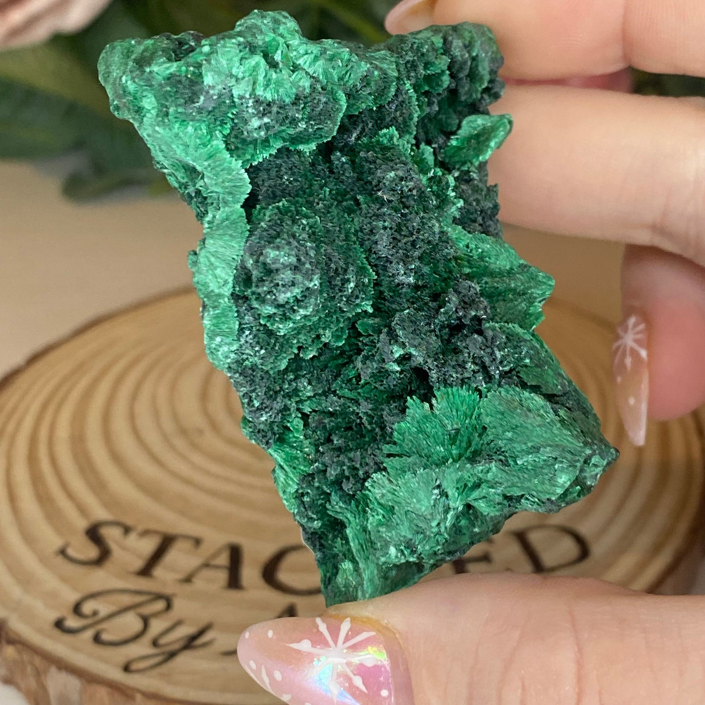 Velvet Malachite
