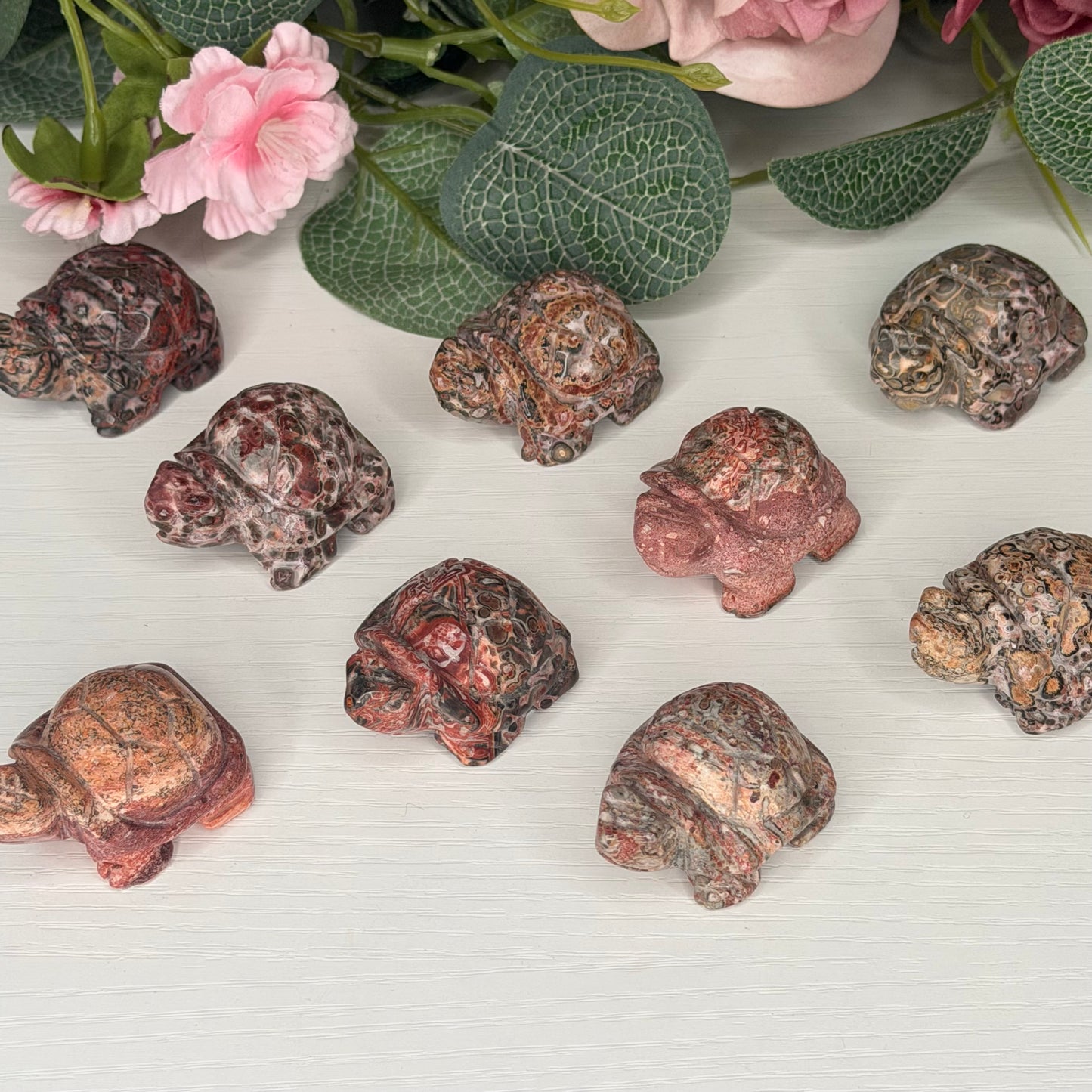 Leopard Skin Jasper Tortoise
