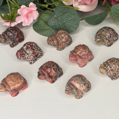 Leopard Skin Jasper Tortoise
