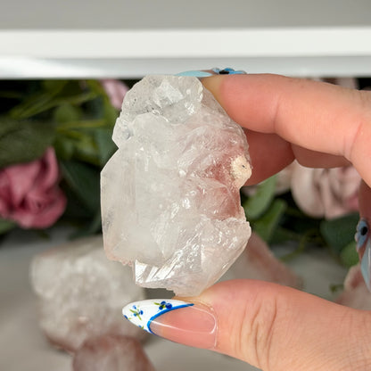 Apophyllite With Pink Chacedony