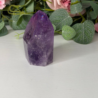 Amethyst Tower F