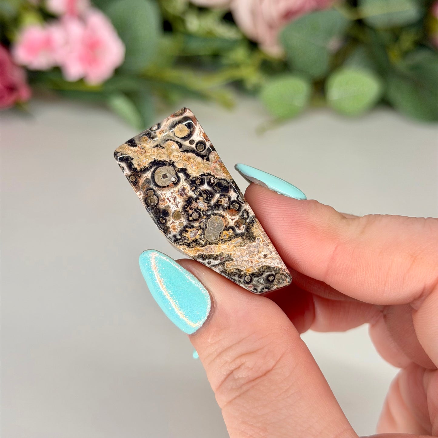 Leopard Skin Jasper Freeforms