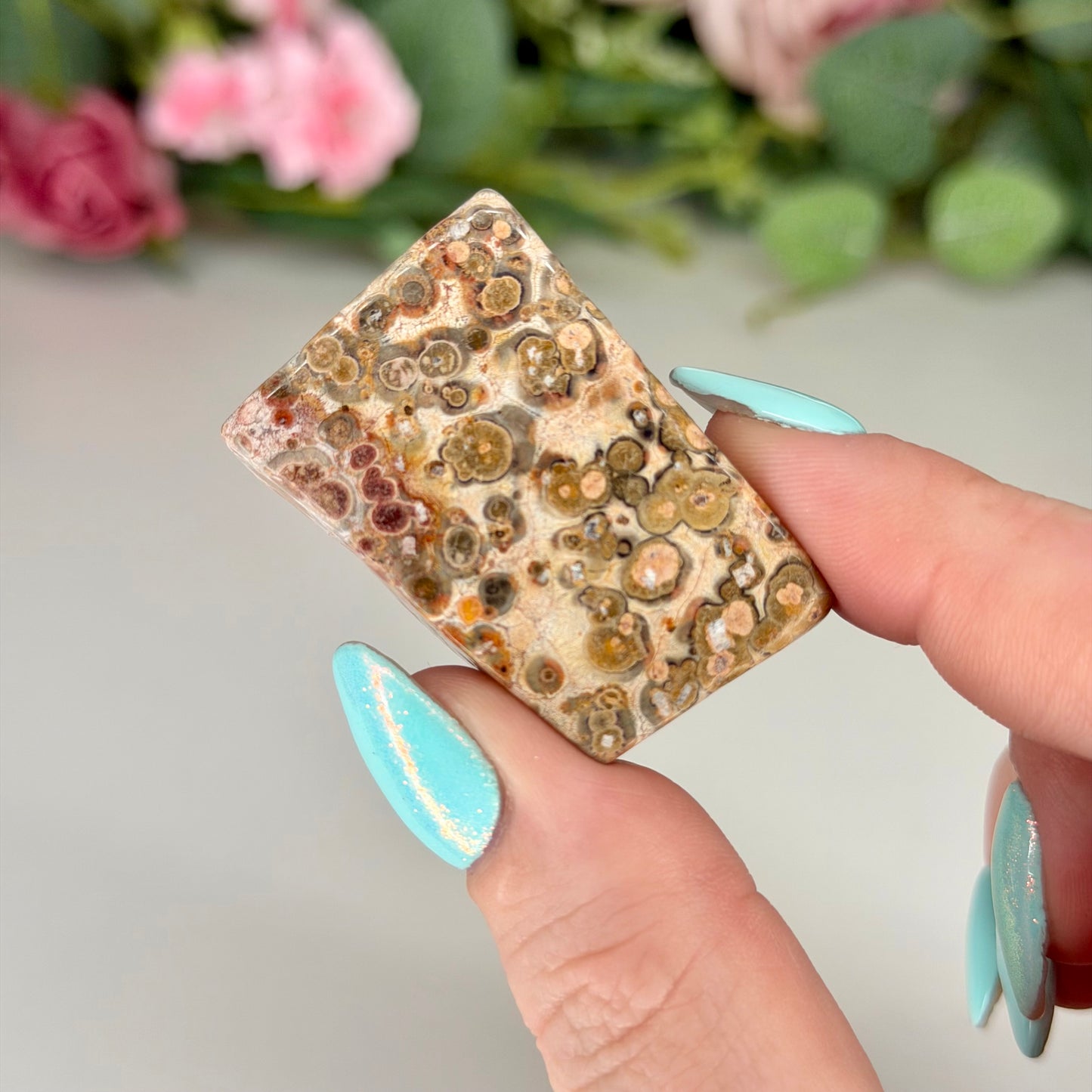 Leopard Skin Jasper Freeforms