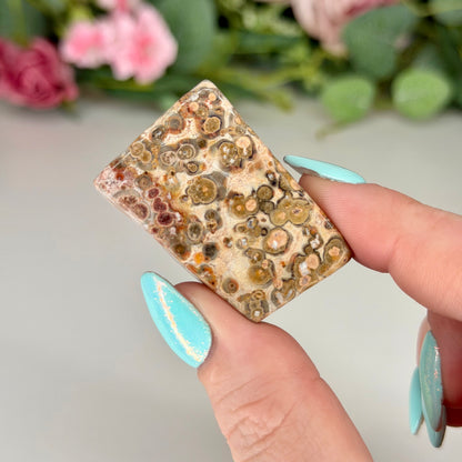 Leopard Skin Jasper Freeforms