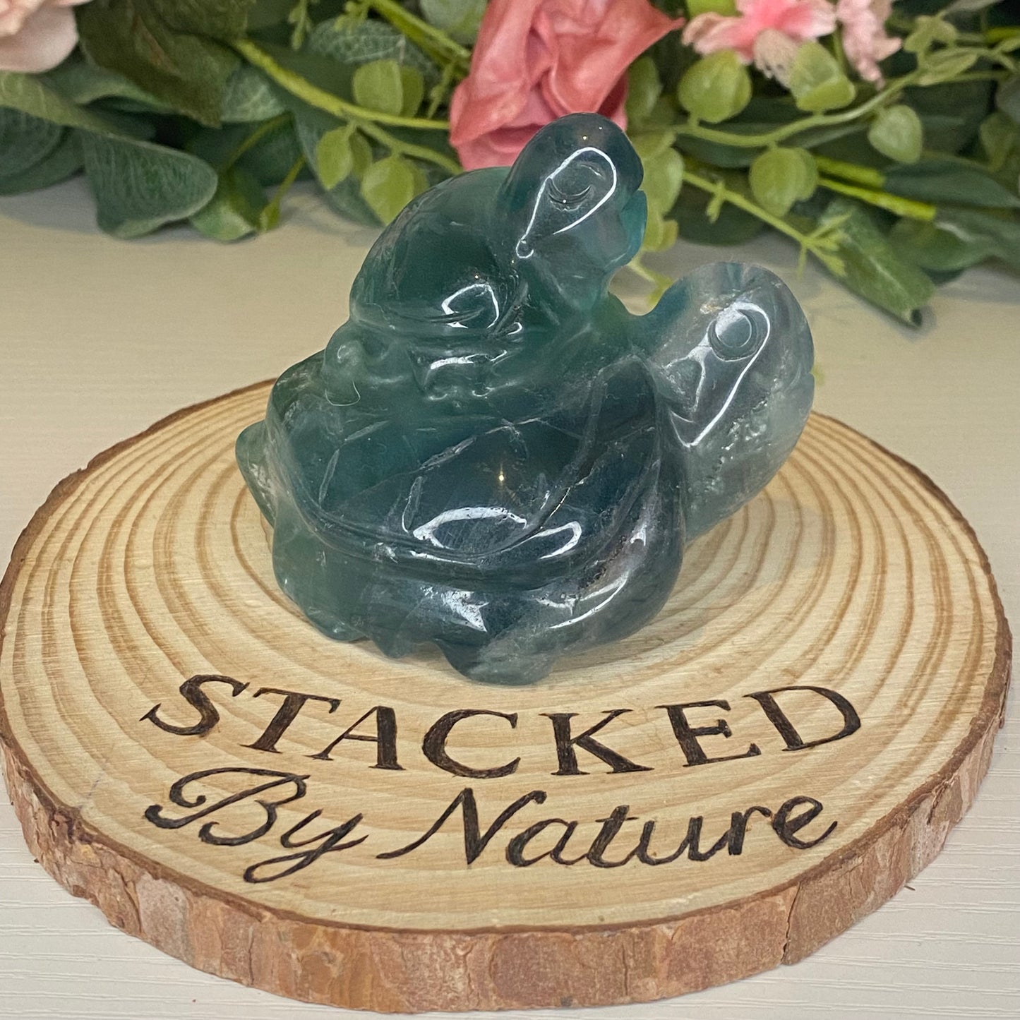 Fluorite Turtles with Sea Creatures