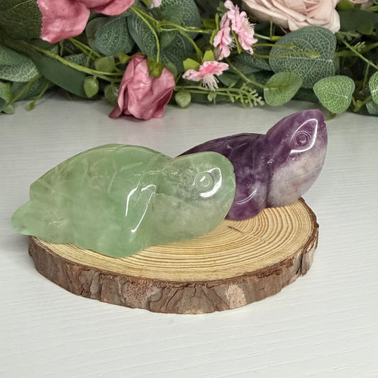 Fluorite Turtles