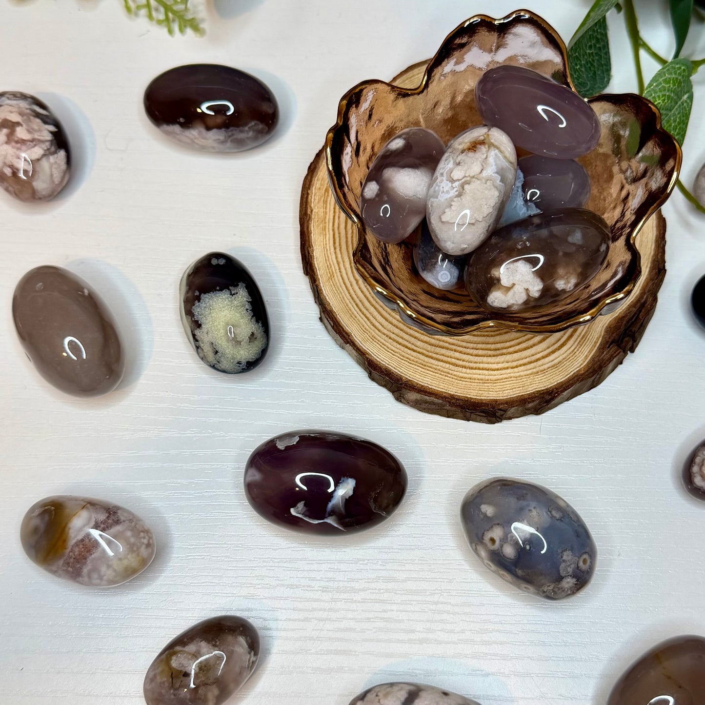Black Flower Agate Tumble
