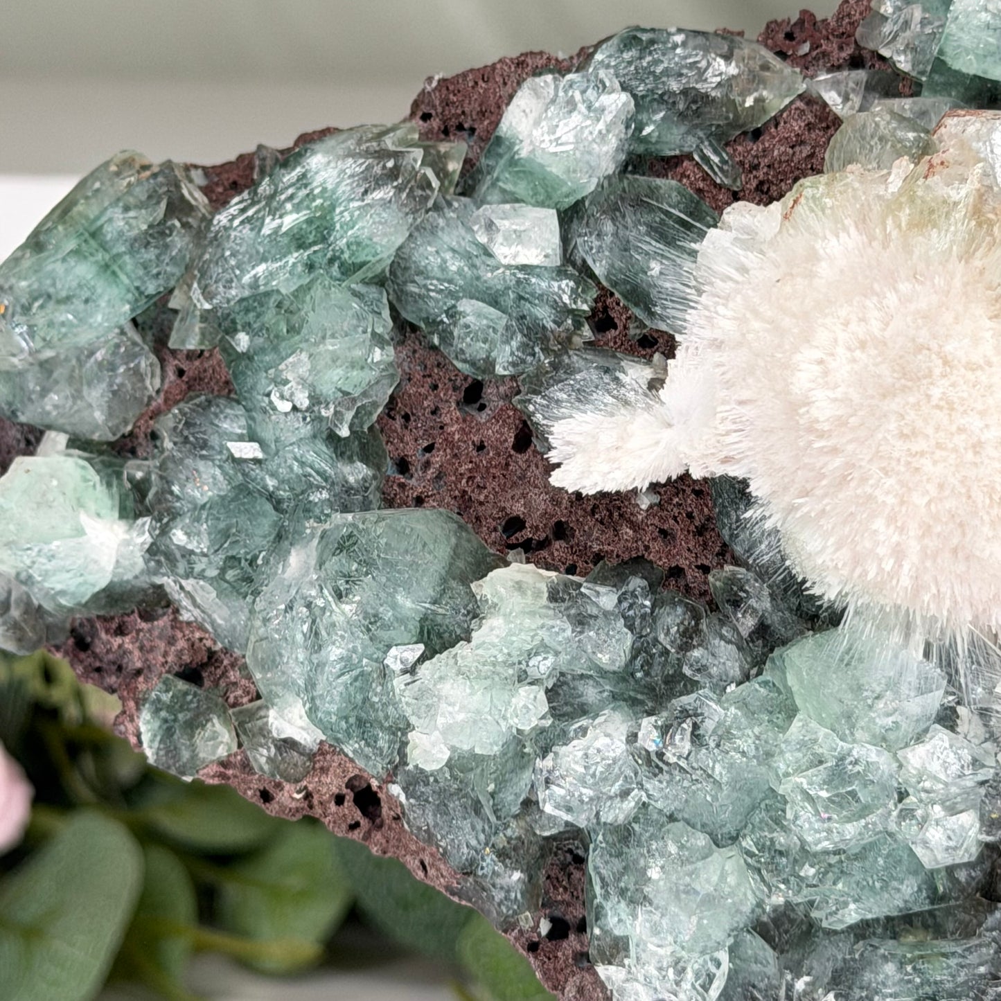 Green Apophyllite With Mordenite (1204g)