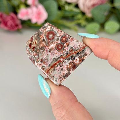 Leopard Skin Jasper Freeforms