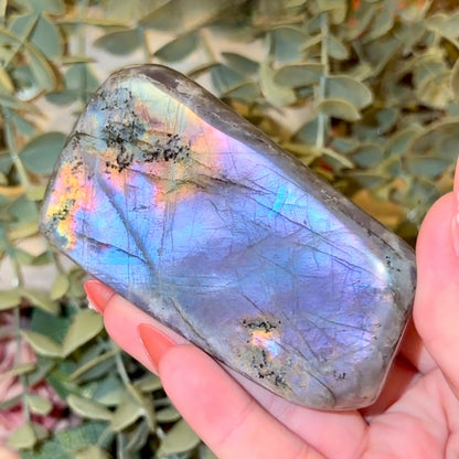 Labradorite Freeforms