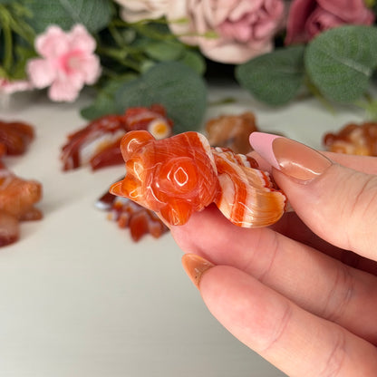 Carnelian Fish