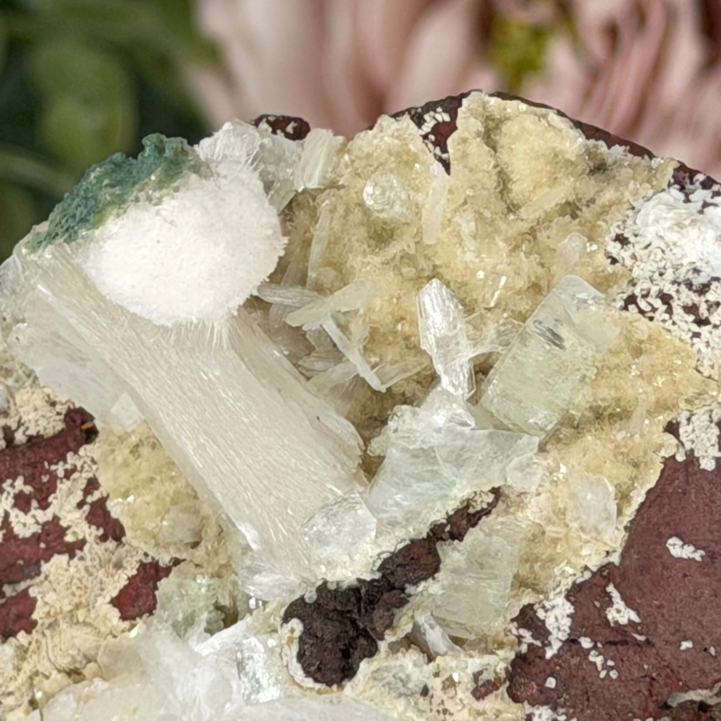 Apophyllite, Stilbite, Mordenite & Chalcedony AR