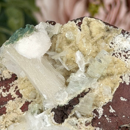 Apophyllite, Stilbite, Mordenite & Chalcedony AR
