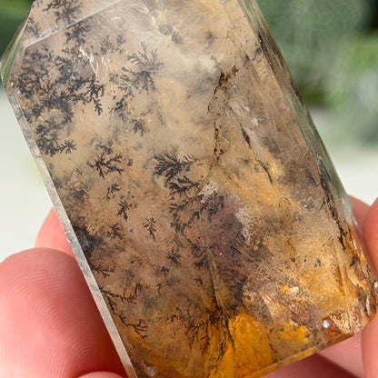 Dendritic Quartz Freeform