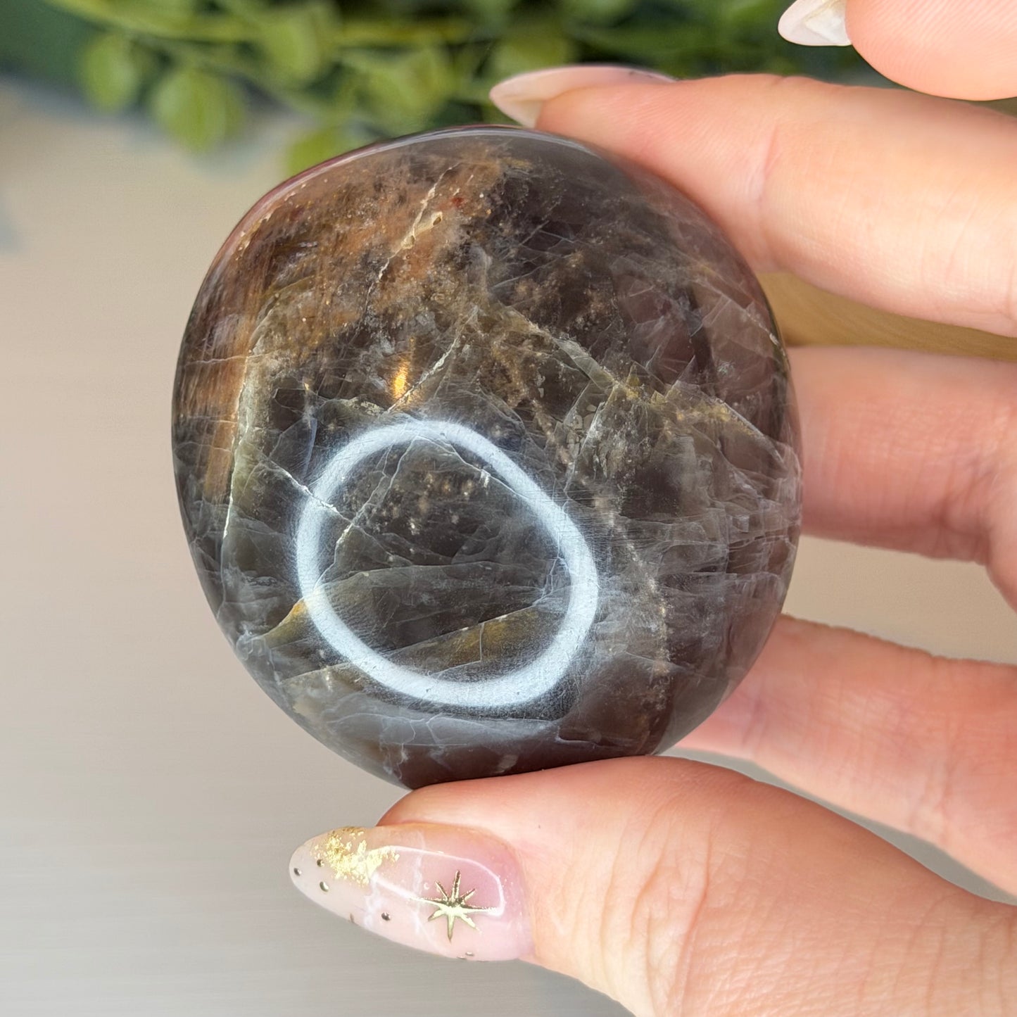 Chunky Black Moonstone Palmstones