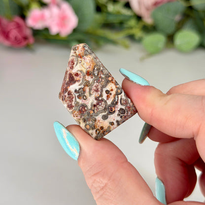 Leopard Skin Jasper Freeforms