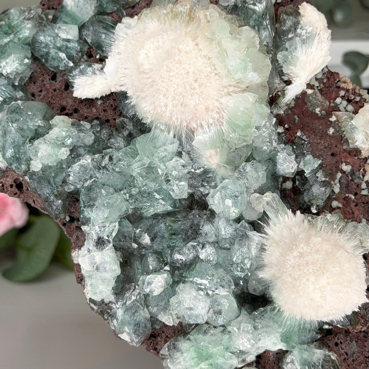 Green Apophyllite With Mordenite (1204g)