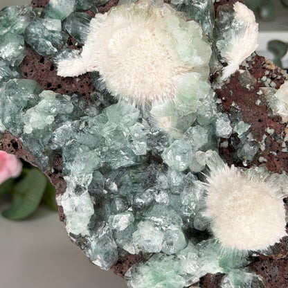 Green Apophyllite With Mordenite (1204g)