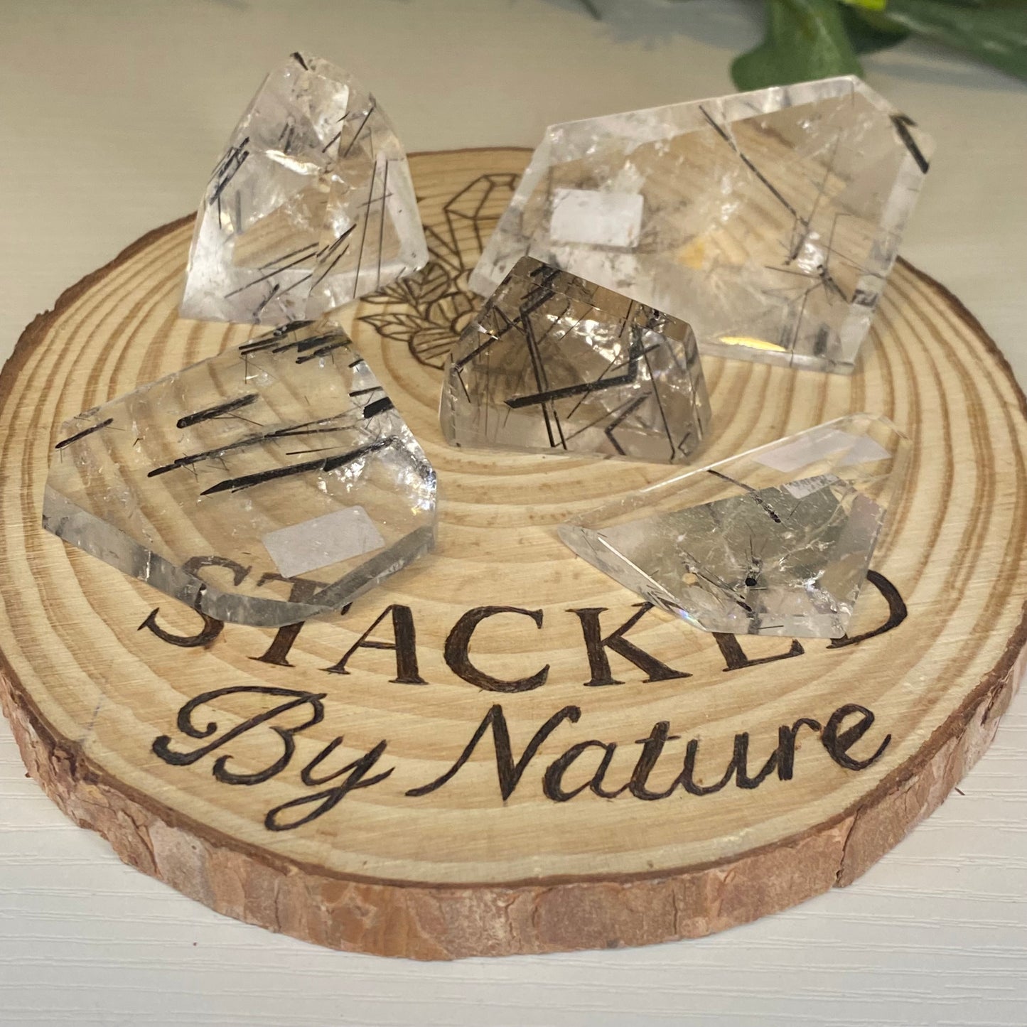 High Quality Tourmaline in Quartz Freeforms