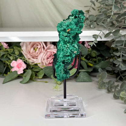 Velvet Malachite With Stand
