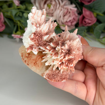 Pink Mordenite On Stilbite
