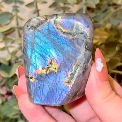 Labradorite Freeforms