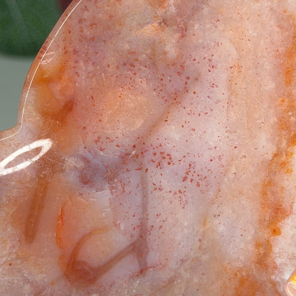 Carnelian Flower Agate Dish C