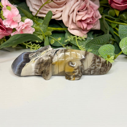 Volcano Agate Axolotls