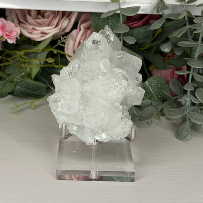 Green Apophyllite With Pink Chalcedony O