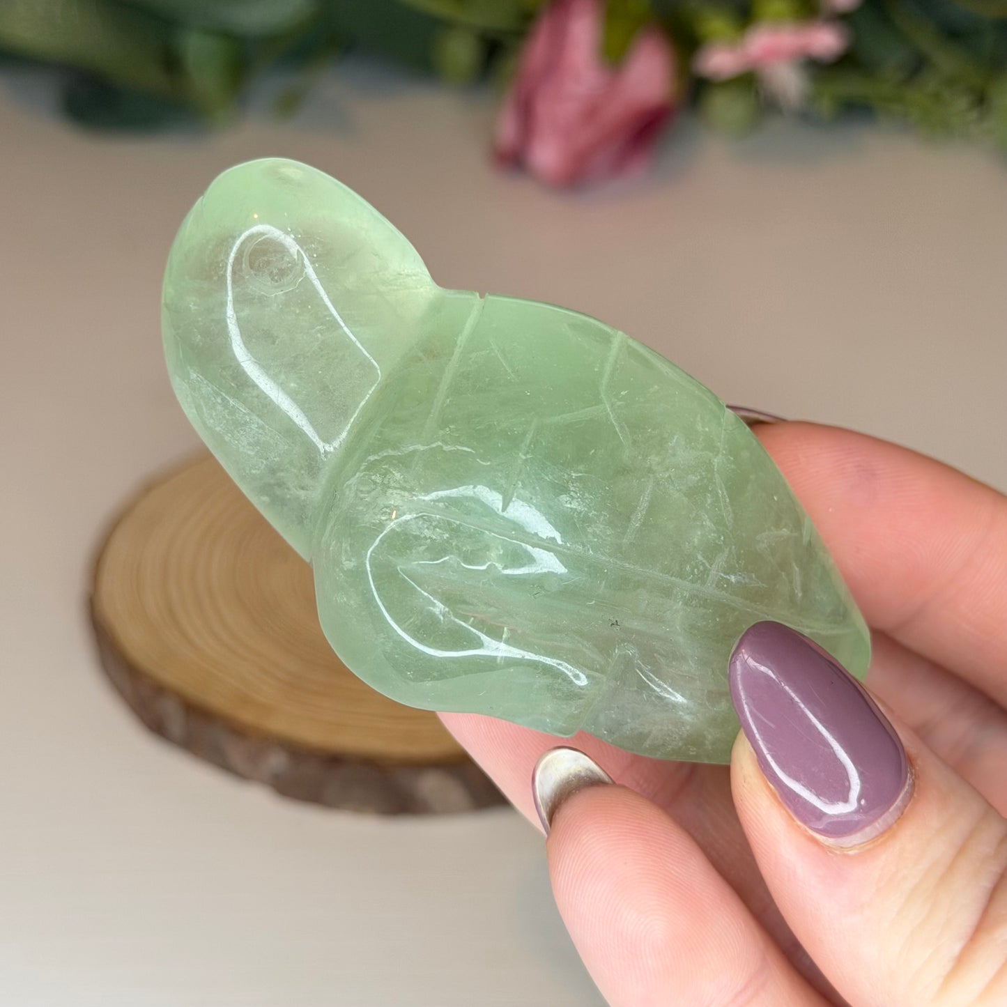Fluorite Turtles