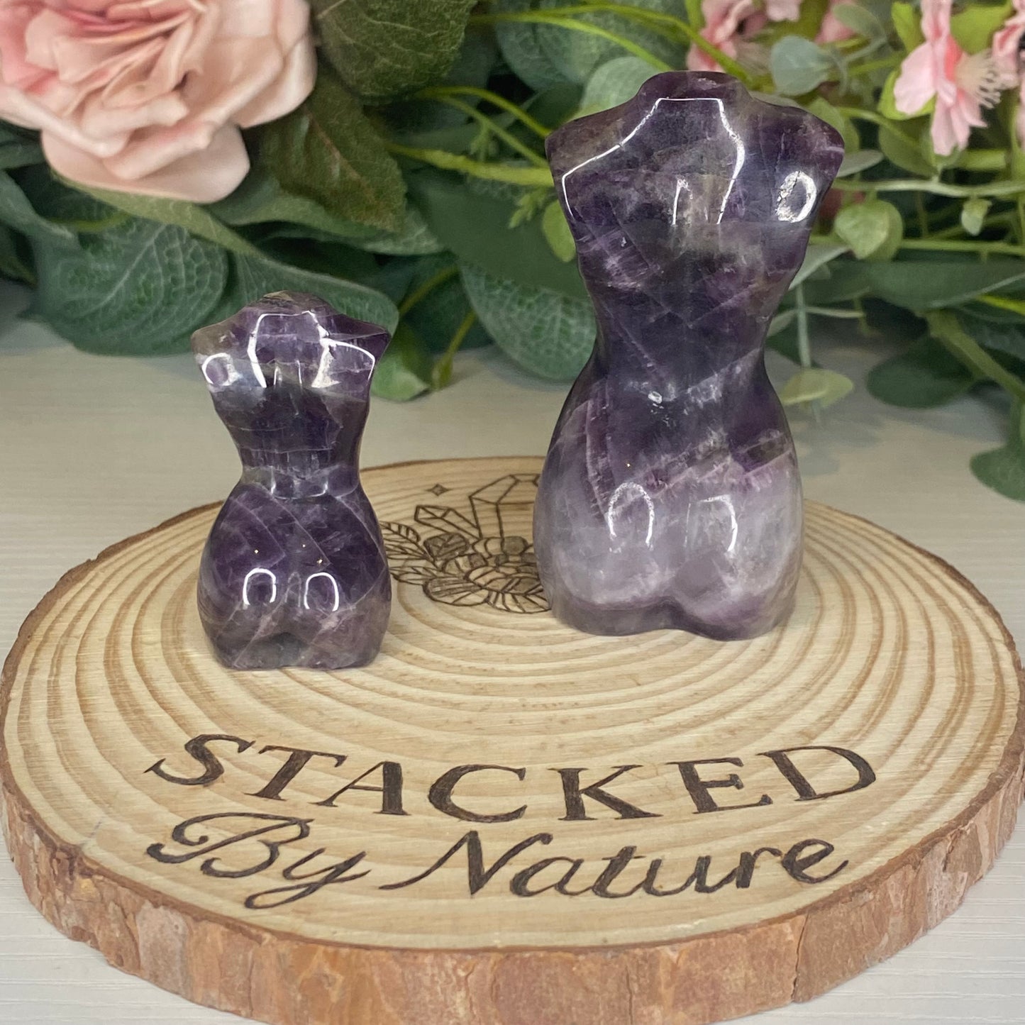 Amethyst Lady Bodies