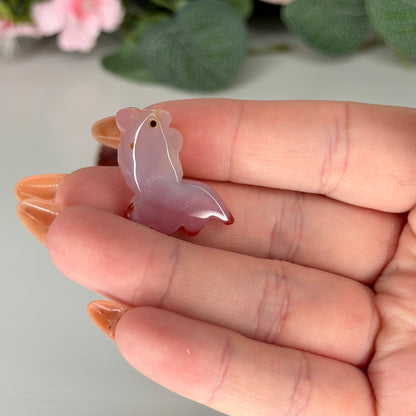 Mini Agate Fish