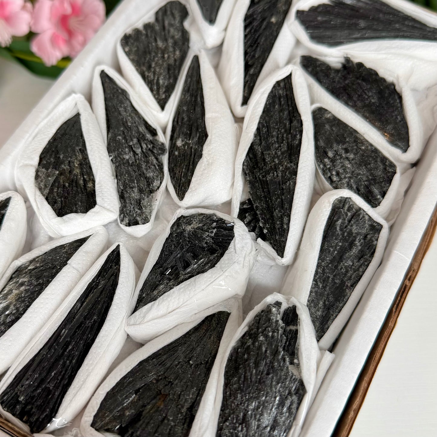 Raw Black Kyanite