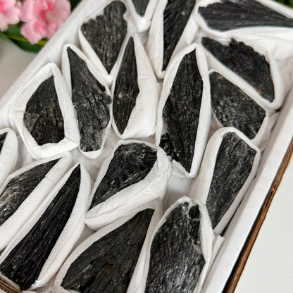 Raw Black Kyanite
