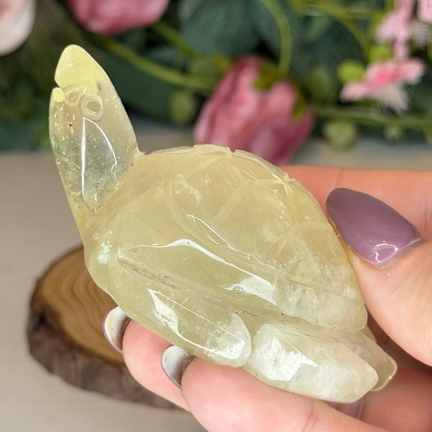 Citrine Turtle