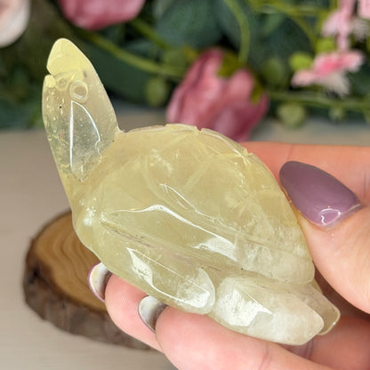 Citrine Turtle