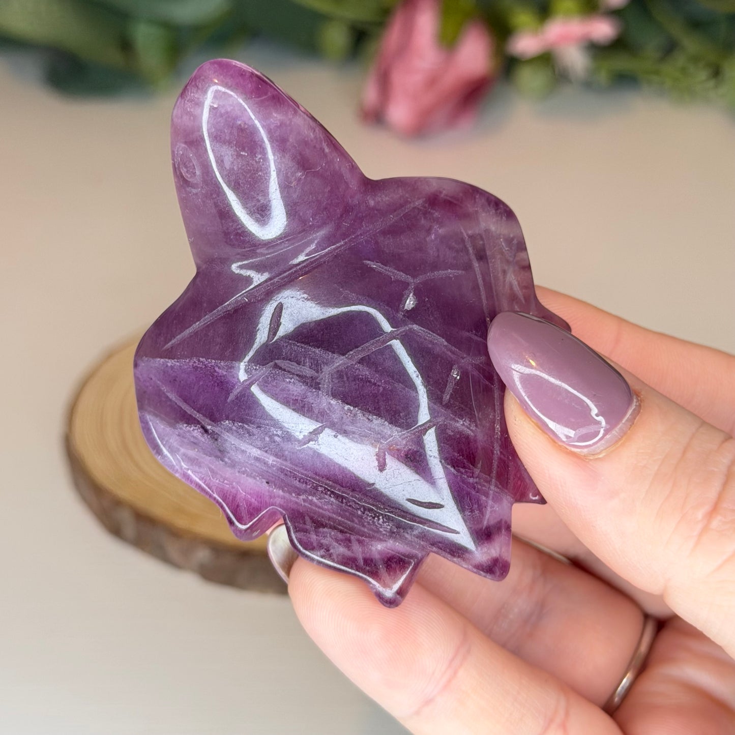 Fluorite Turtles