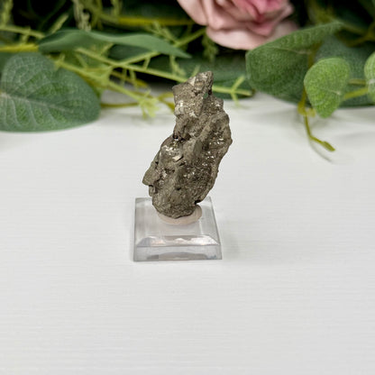 Pyritized Wood Specimen