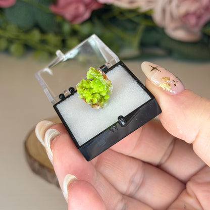 Pyromorphite Specimen