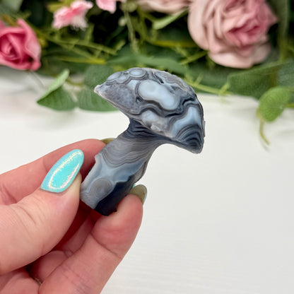 Gobi Agate Mushrooms
