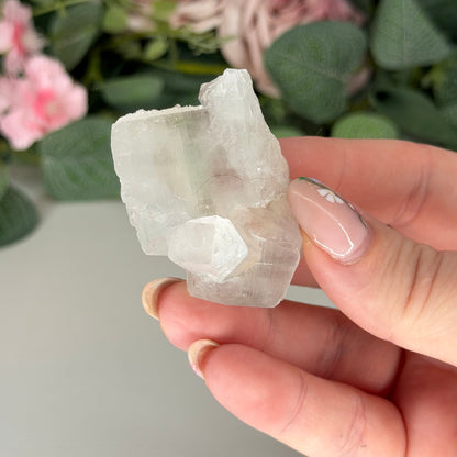 Pink Apophyllie with Stilbite
